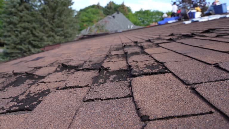 Best Green or Eco-Friendly Roofing Solutions  in Scott City, KS